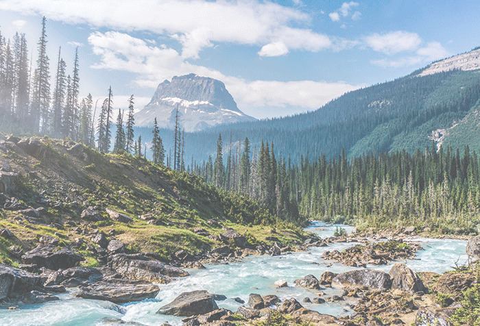Parker: National Park Finding App